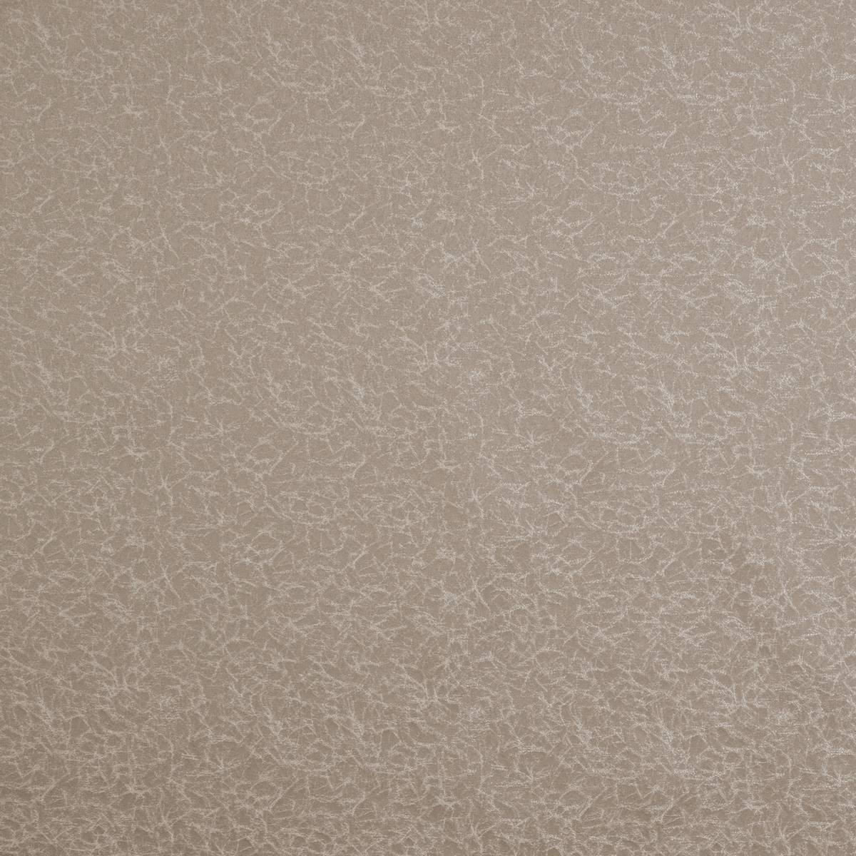 Wick Taupe Fabric by Ashley Wilde