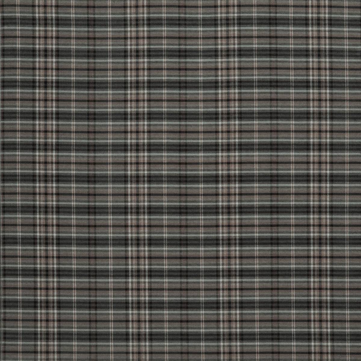 Pitlochry Charcoal Fabric by iLiv