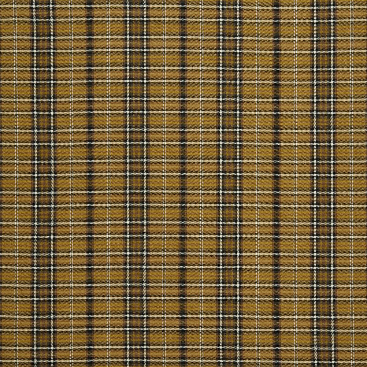 Pitlochry Ochre Fabric by iLiv