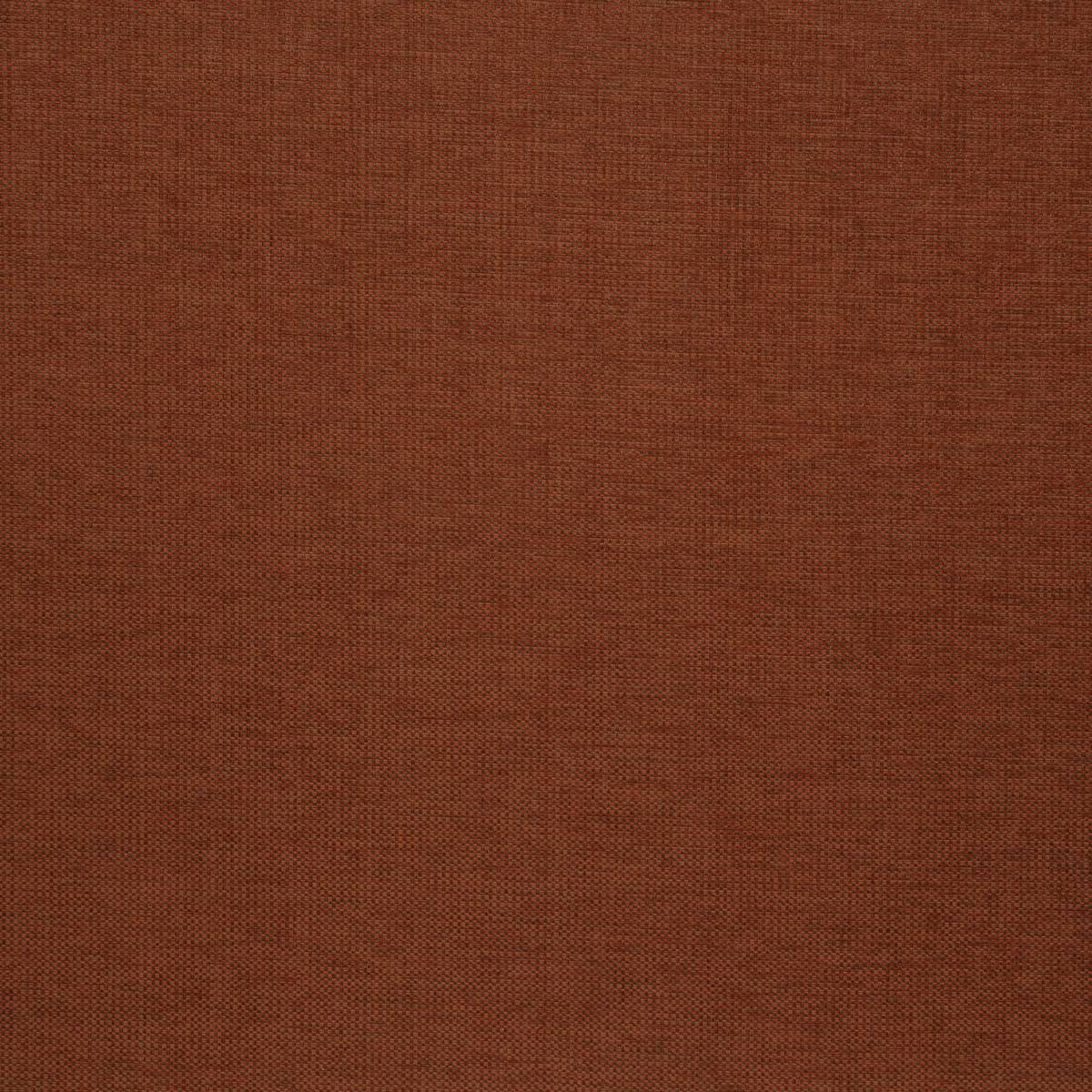 Delta Cinnamon Fabric by iLiv