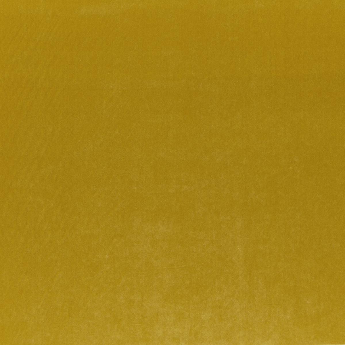 Phoenix Mustard Fabric by iLiv