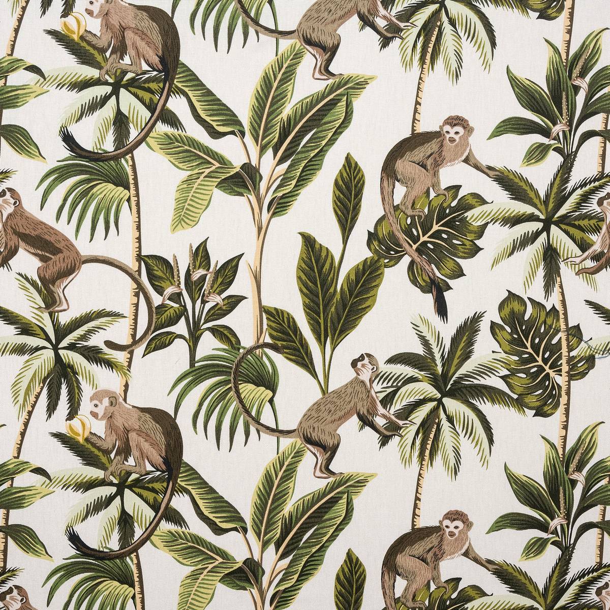 Monkey Natural Fabric by Fryetts