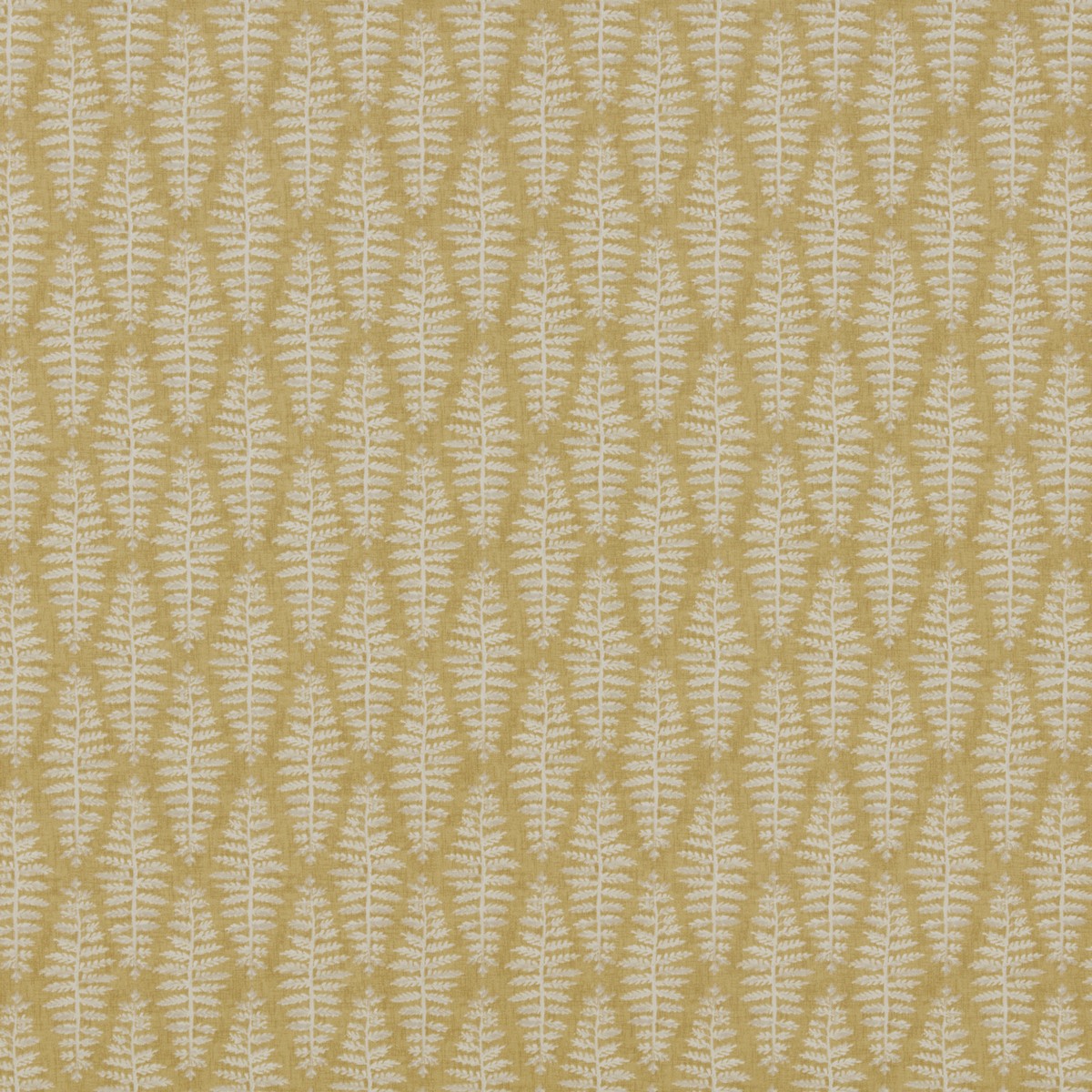 Fernia Mustard Fabric by iLiv