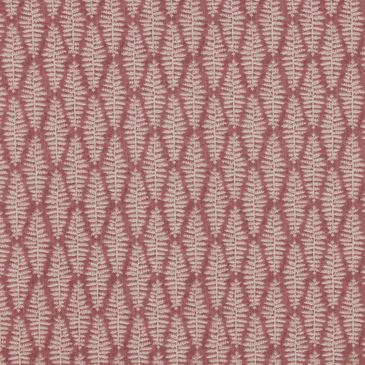 Fernia Rosa Fabric by iLiv