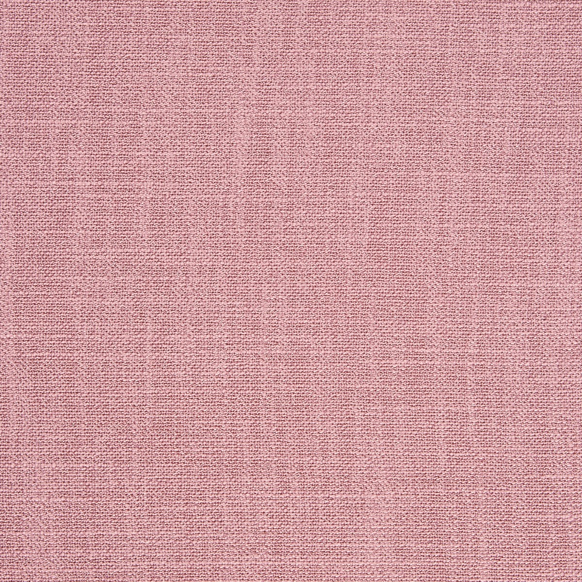 Whisp Blossom Fabric by Prestigious Textiles