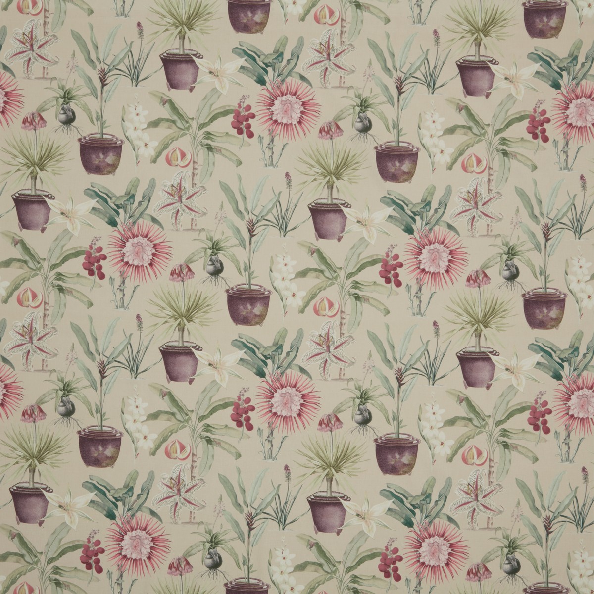 Atrium Woodrose Fabric by iLiv