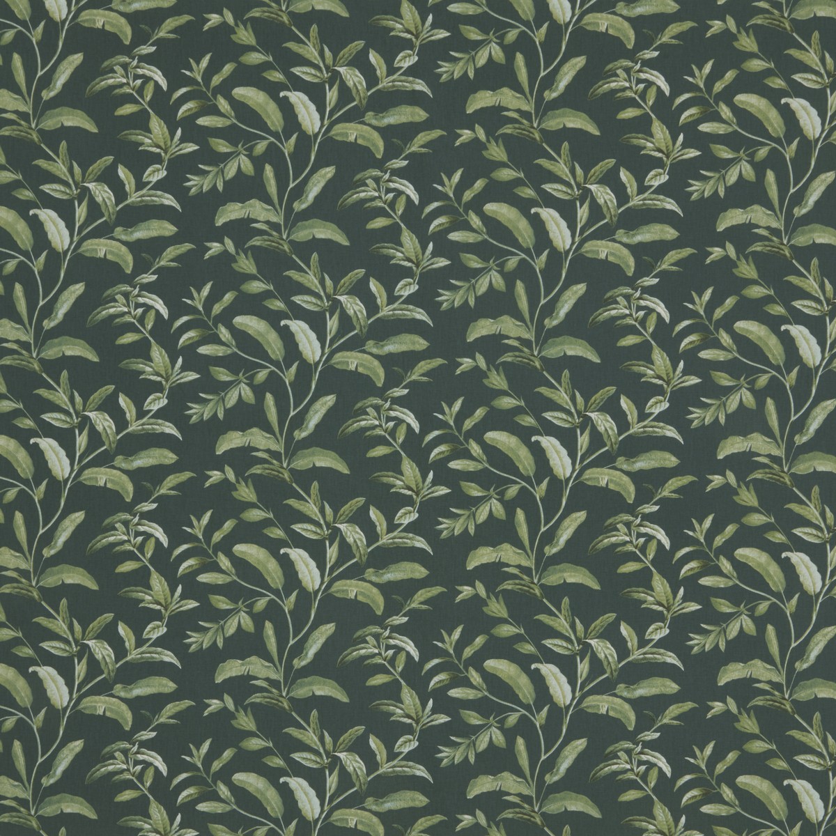 Oasis Pine Fabric by iLiv