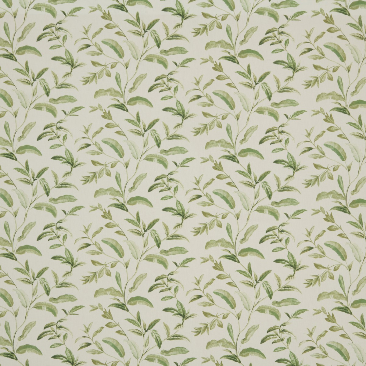 Oasis Spruce Fabric by iLiv