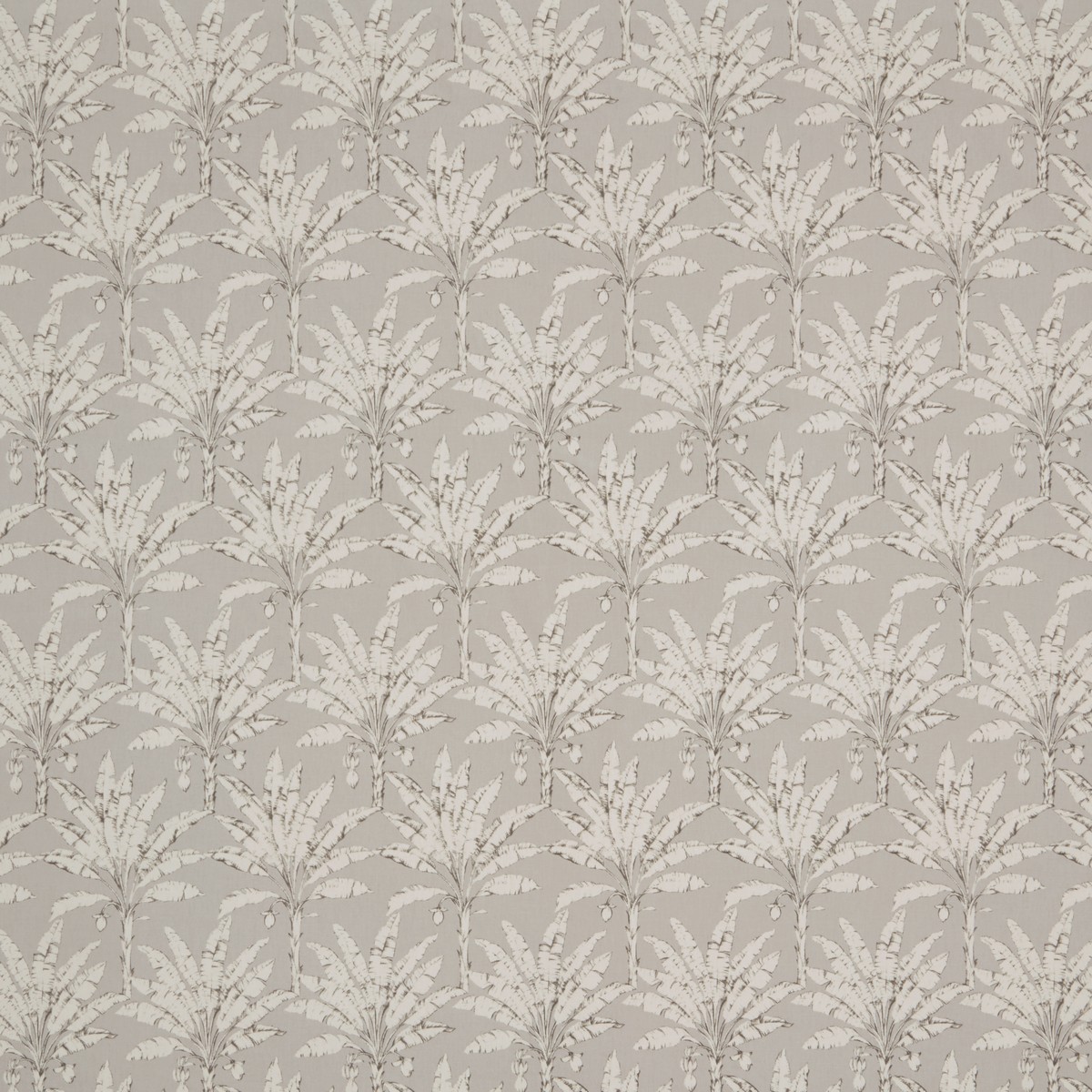 Palm House Putty Fabric by iLiv