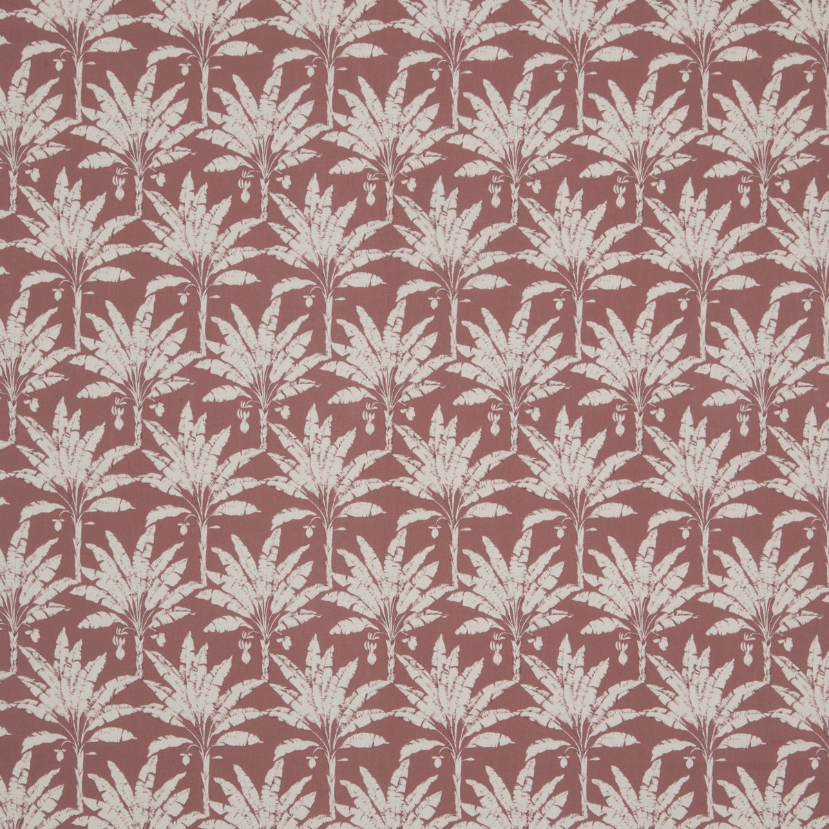 Palm House Woodrose Fabric by iLiv