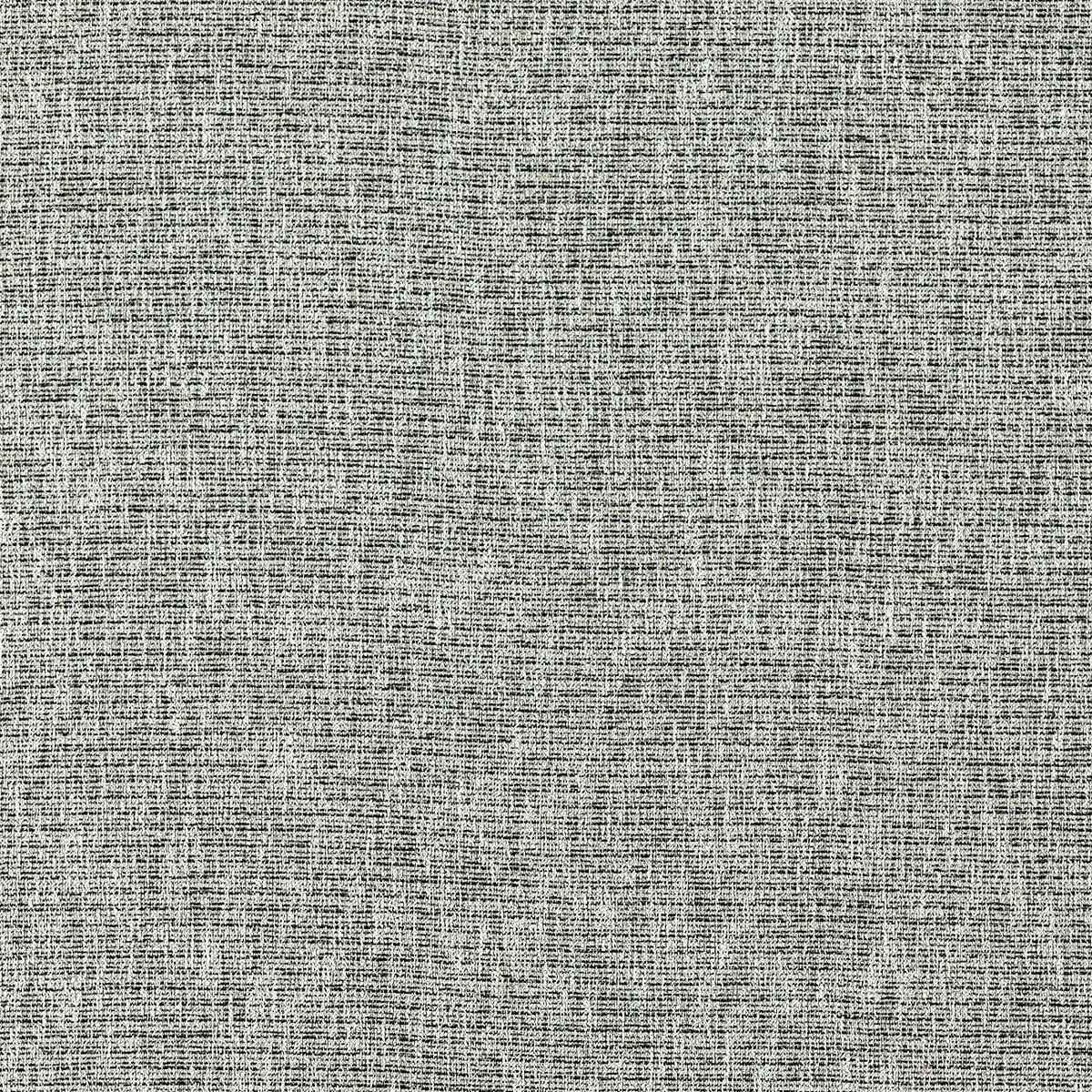Avani Charcoal Fabric by Clarke & Clarke