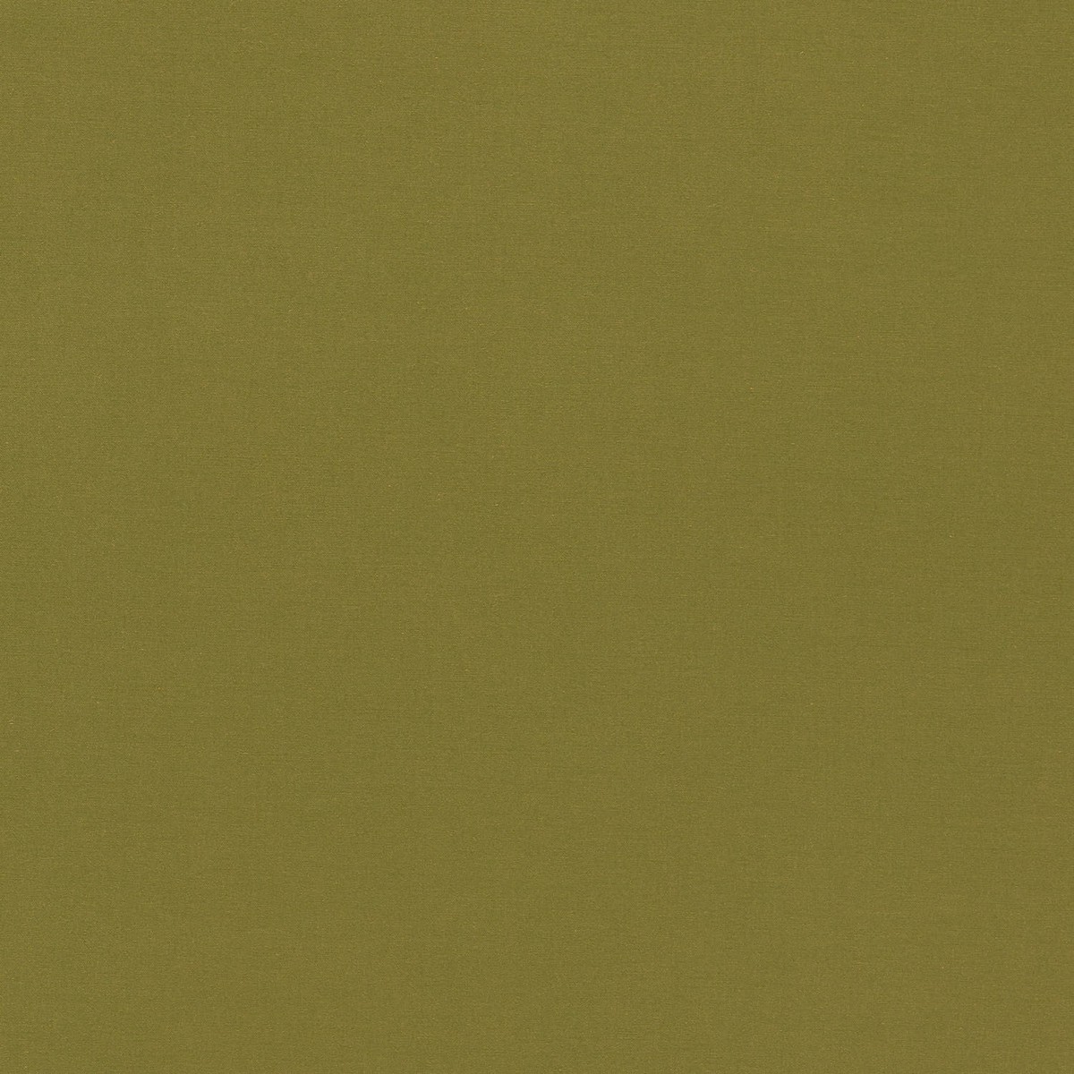 Empower Plain Olive Fabric by Harlequin