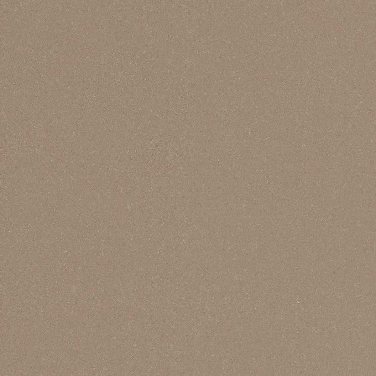 Wool Satin Taupe Fabric by Zoffany