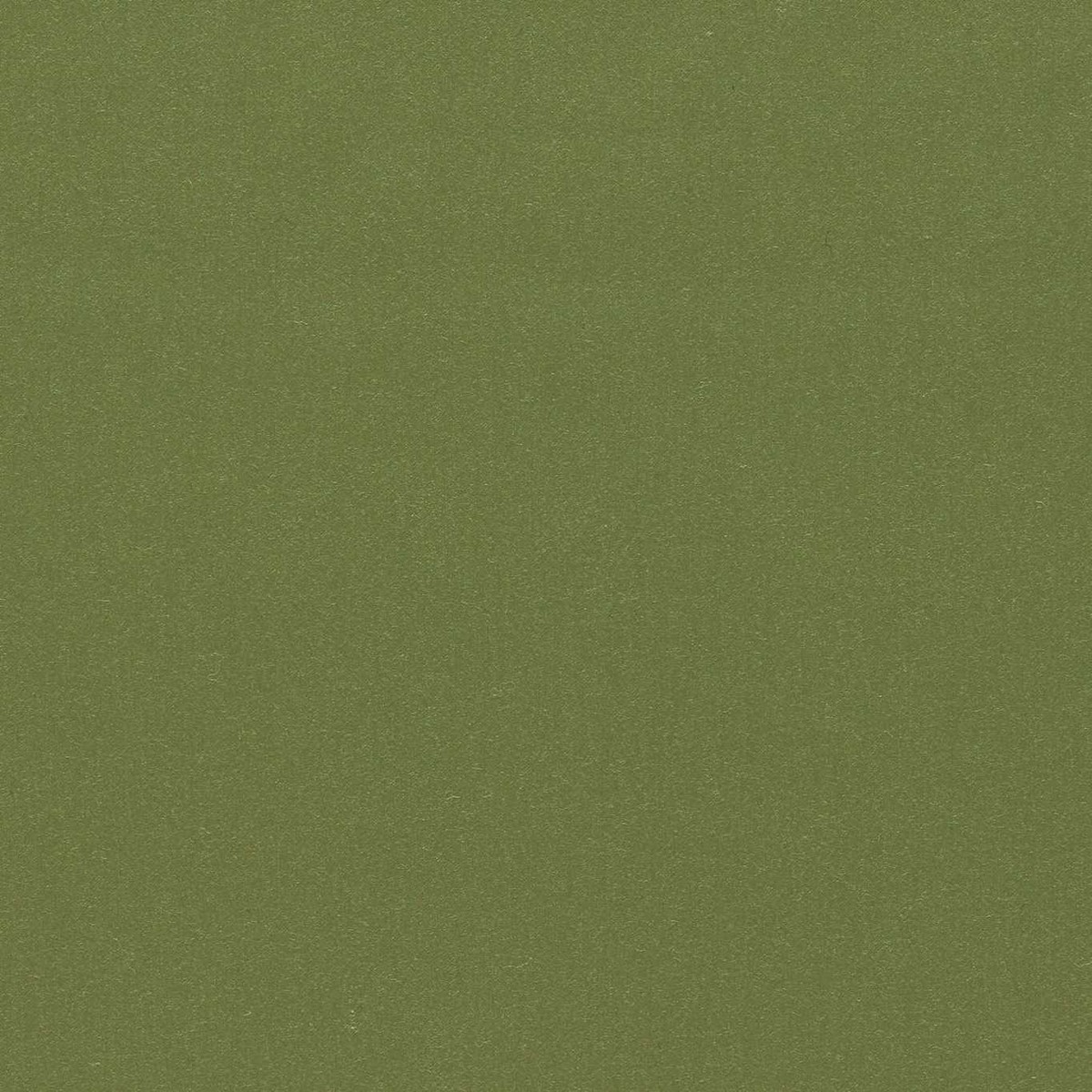 Wool Satin Olive Fabric by Zoffany