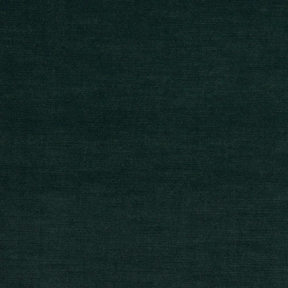 Riva Forest Fabric by Clarke & Clarke
