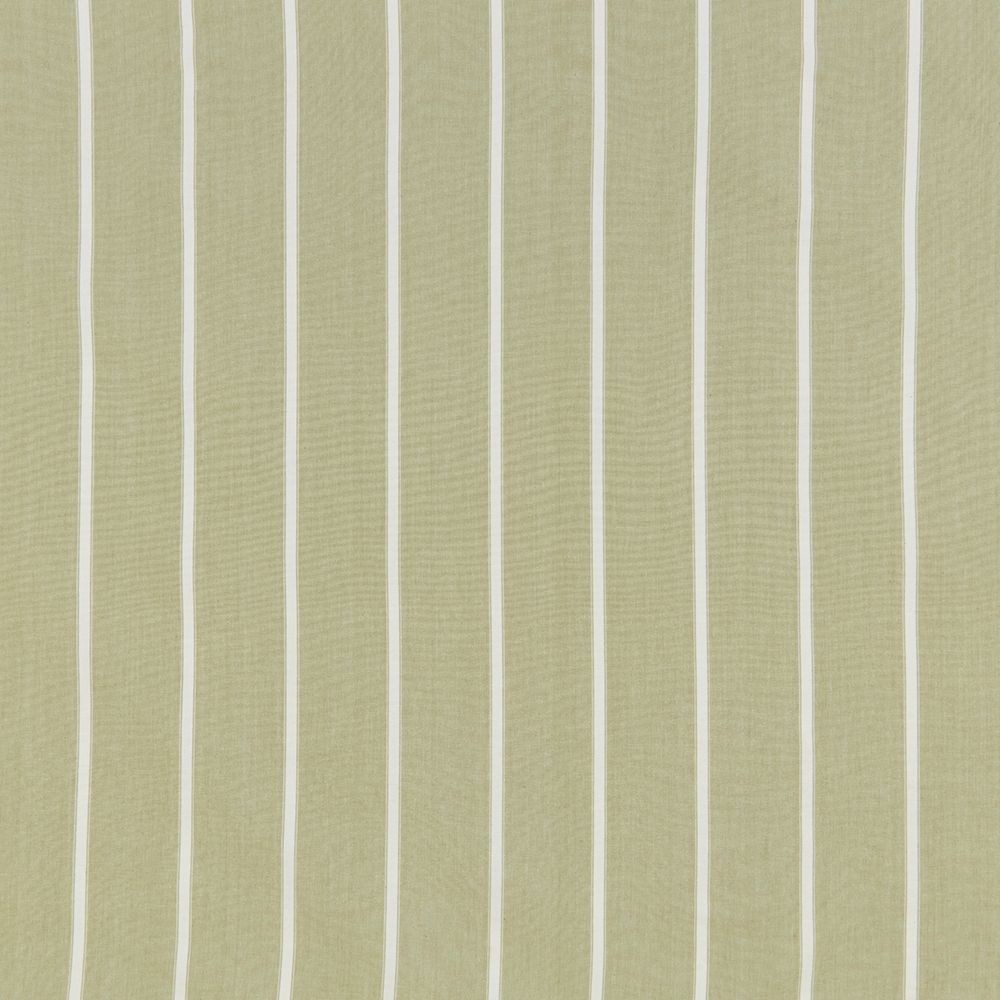 Waterbury Olive Fabric by iLiv