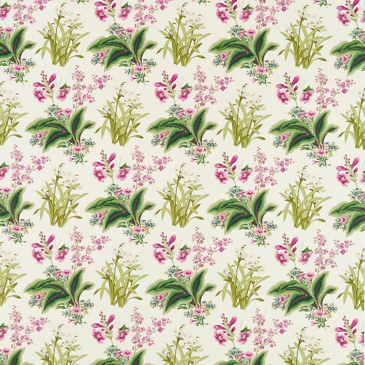 Enys Garden Rose/ Leaf Fabric by Sanderson