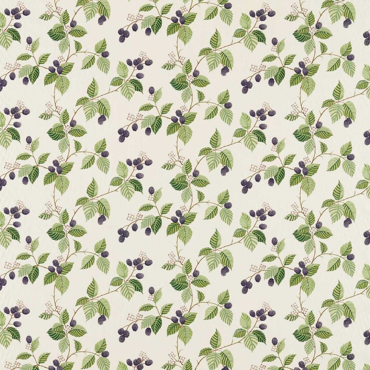 Rubus Blackberry Fabric by Sanderson