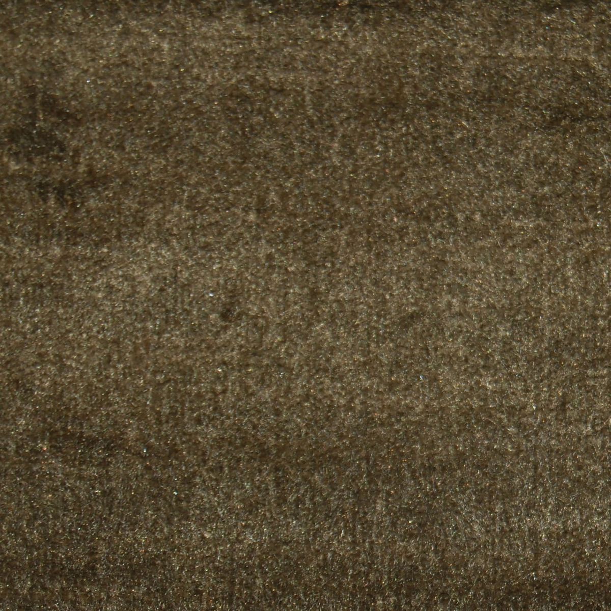 Chiaso Otter Velvet Fabric by Voyage Maison