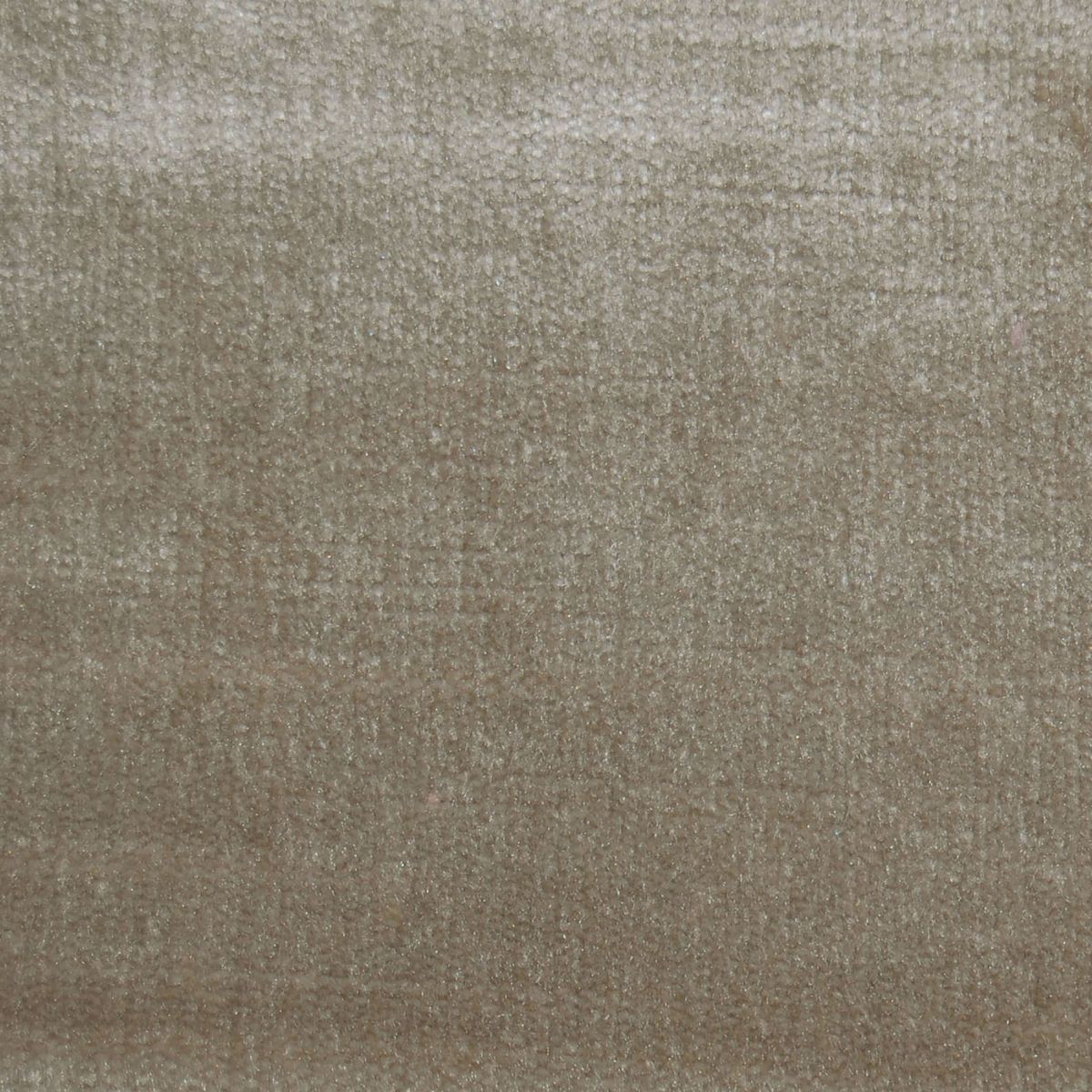 Chiaso Stucco Velvet Fabric by Voyage Maison
