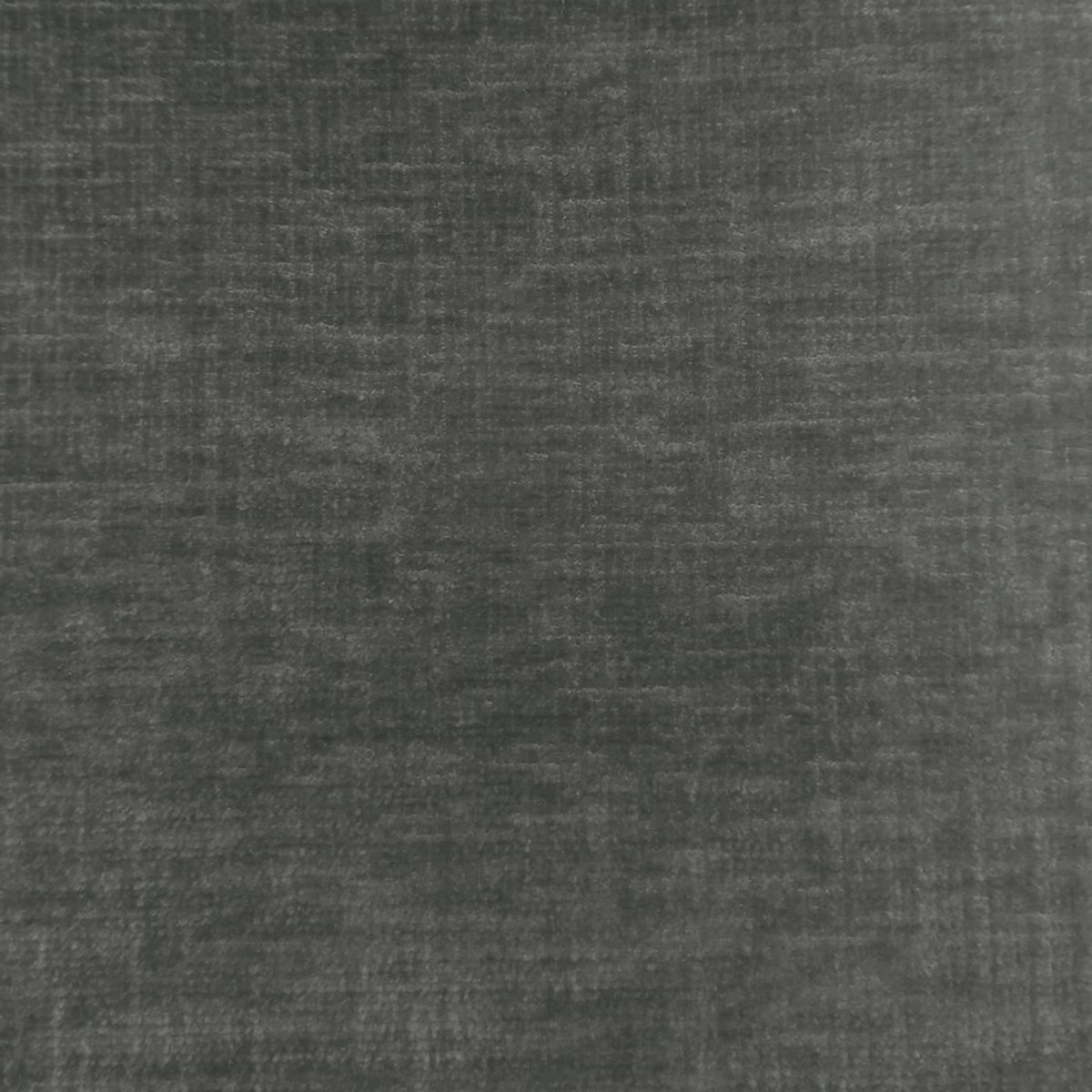 Isernia Dove Velvet Fabric by Voyage Maison