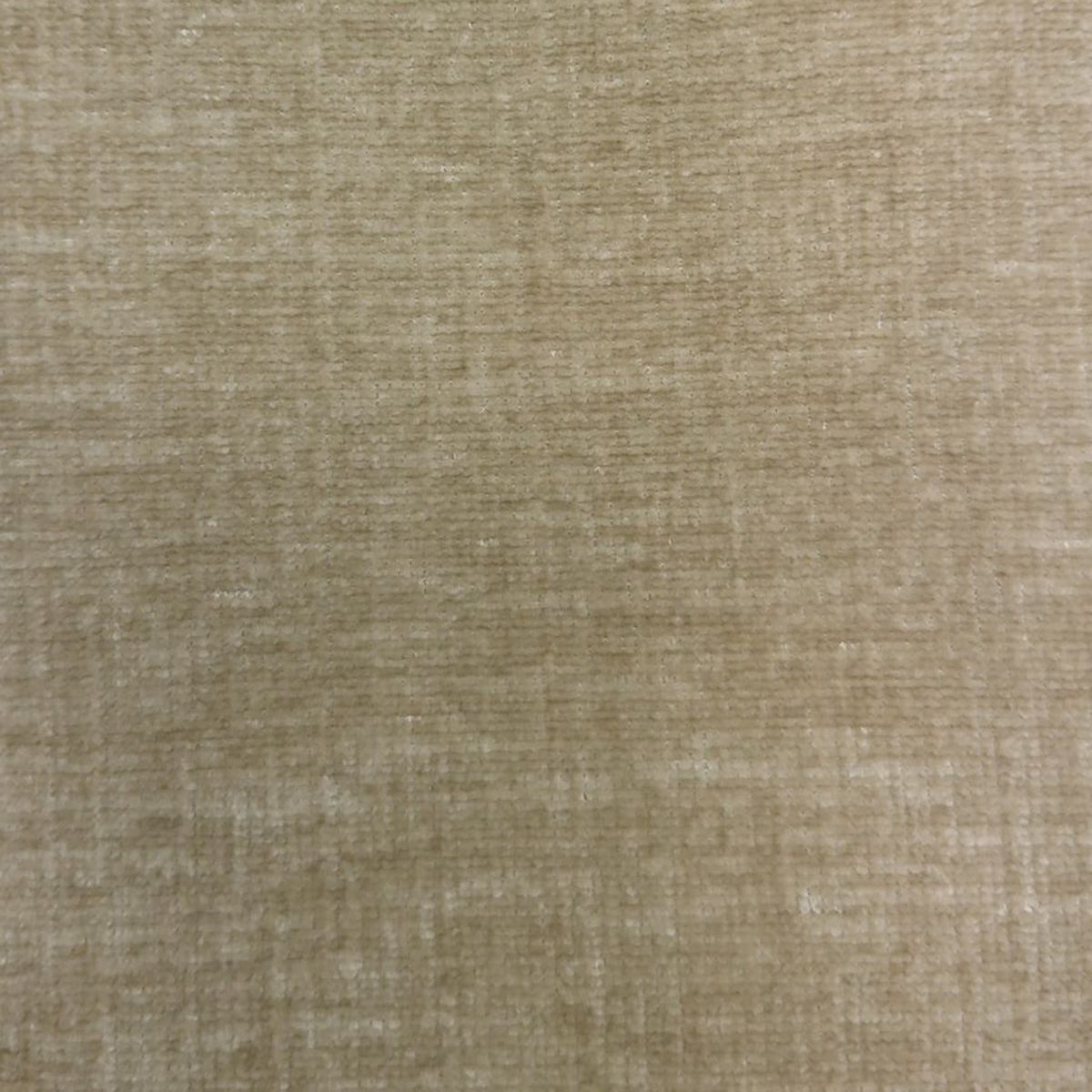 Isernia Sesame Velvet Fabric by Voyage Maison