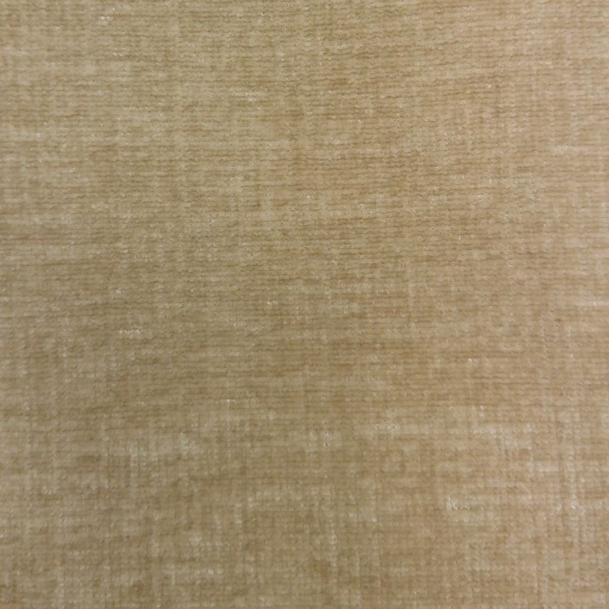 Isernia Wheat Velvet Fabric by Voyage Maison
