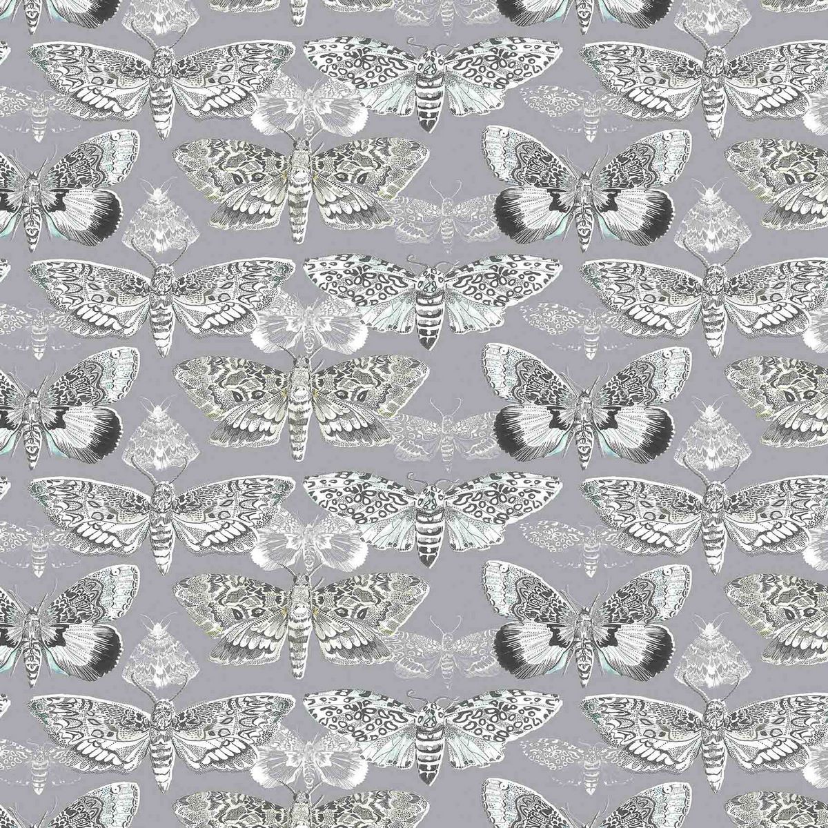 Nocturnal Velvet Charcoal Fabric by Voyage Maison