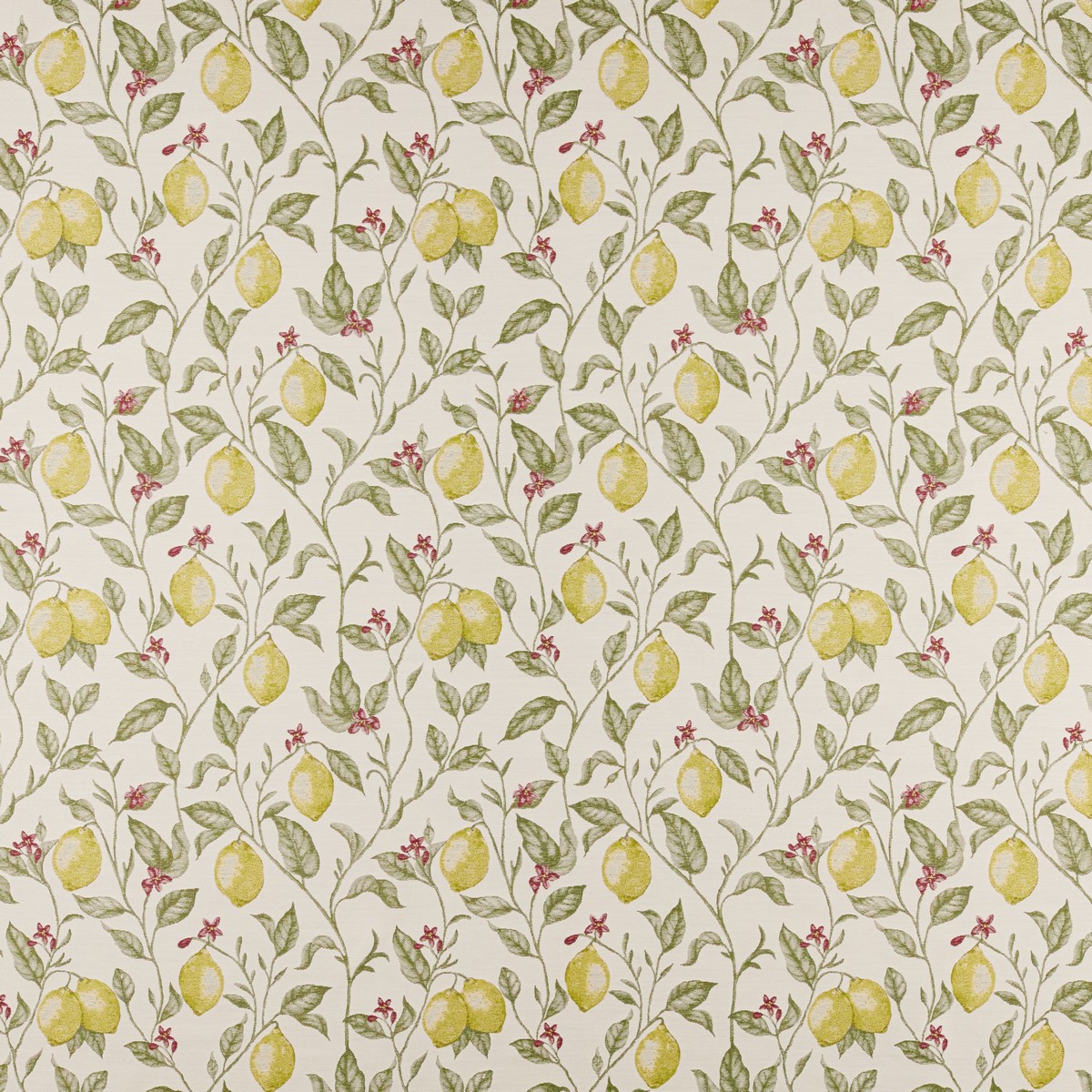Verna Lemon Fabric by Ashley Wilde