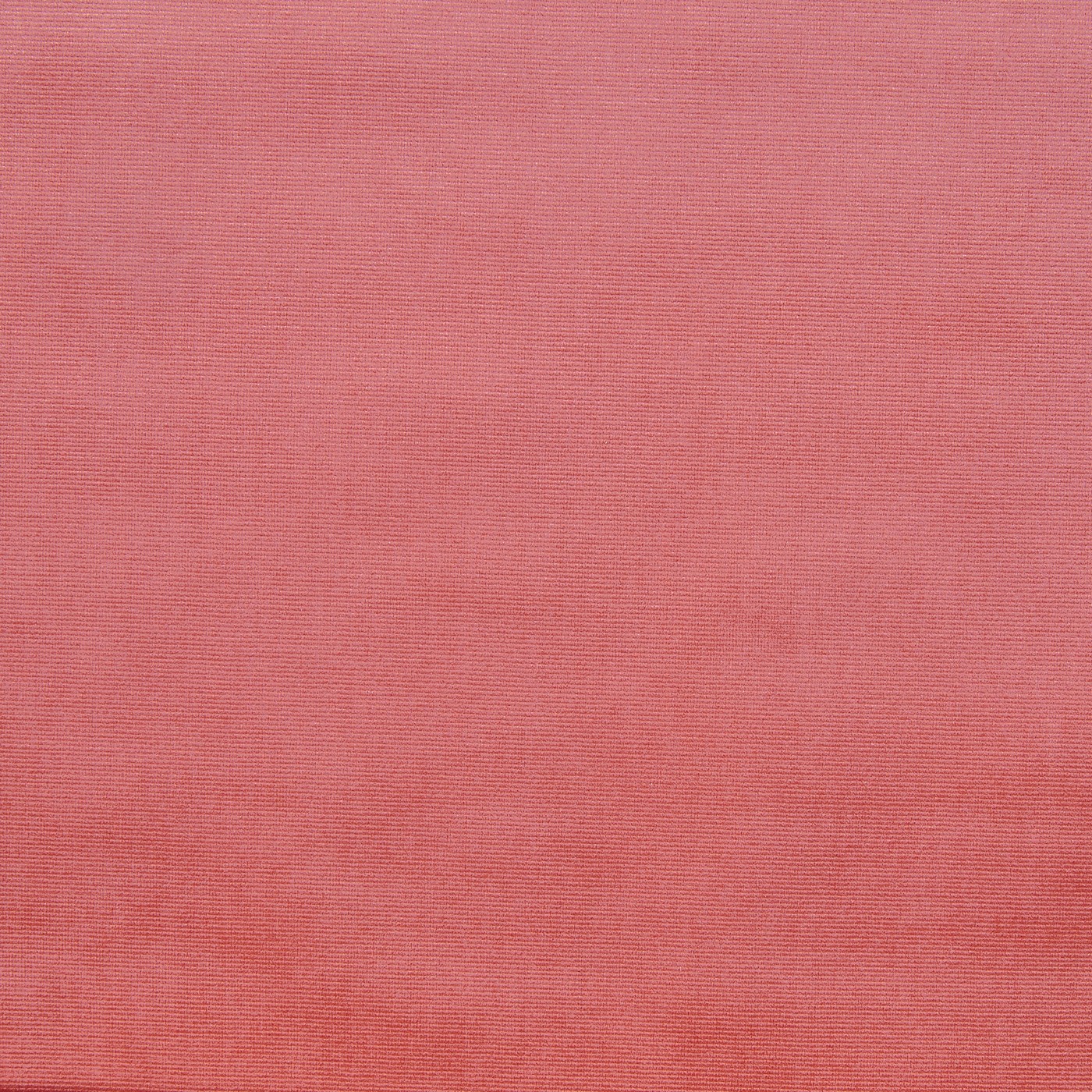 Velour Rouge Fabric by Prestigious Textiles
