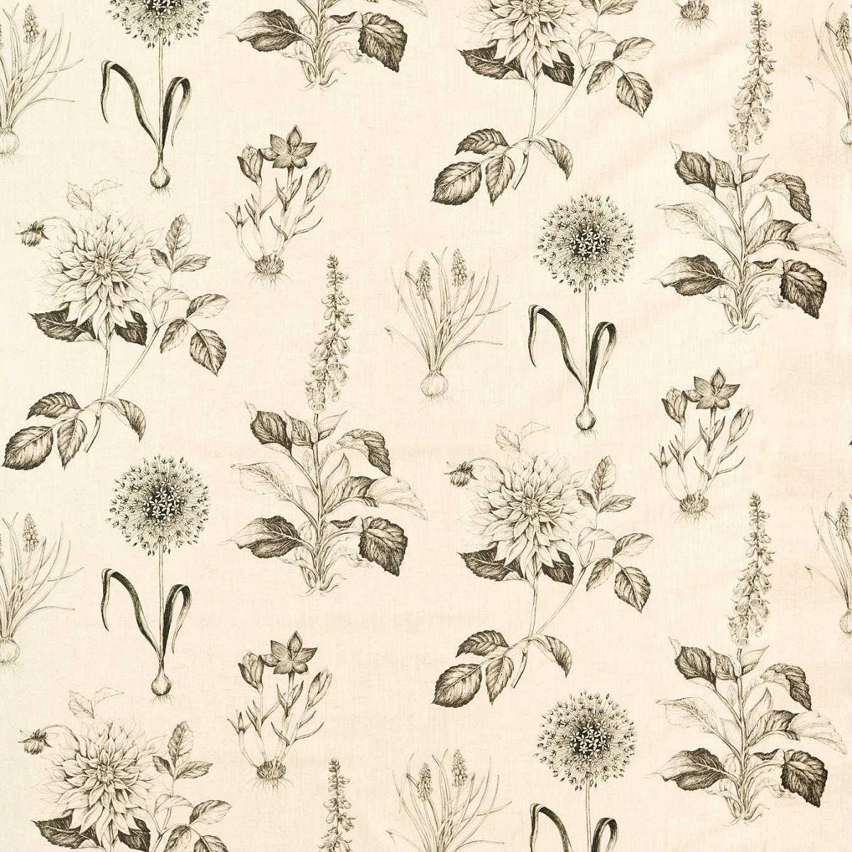 Roseraie Charcoal Fabric by Clarke & Clarke
