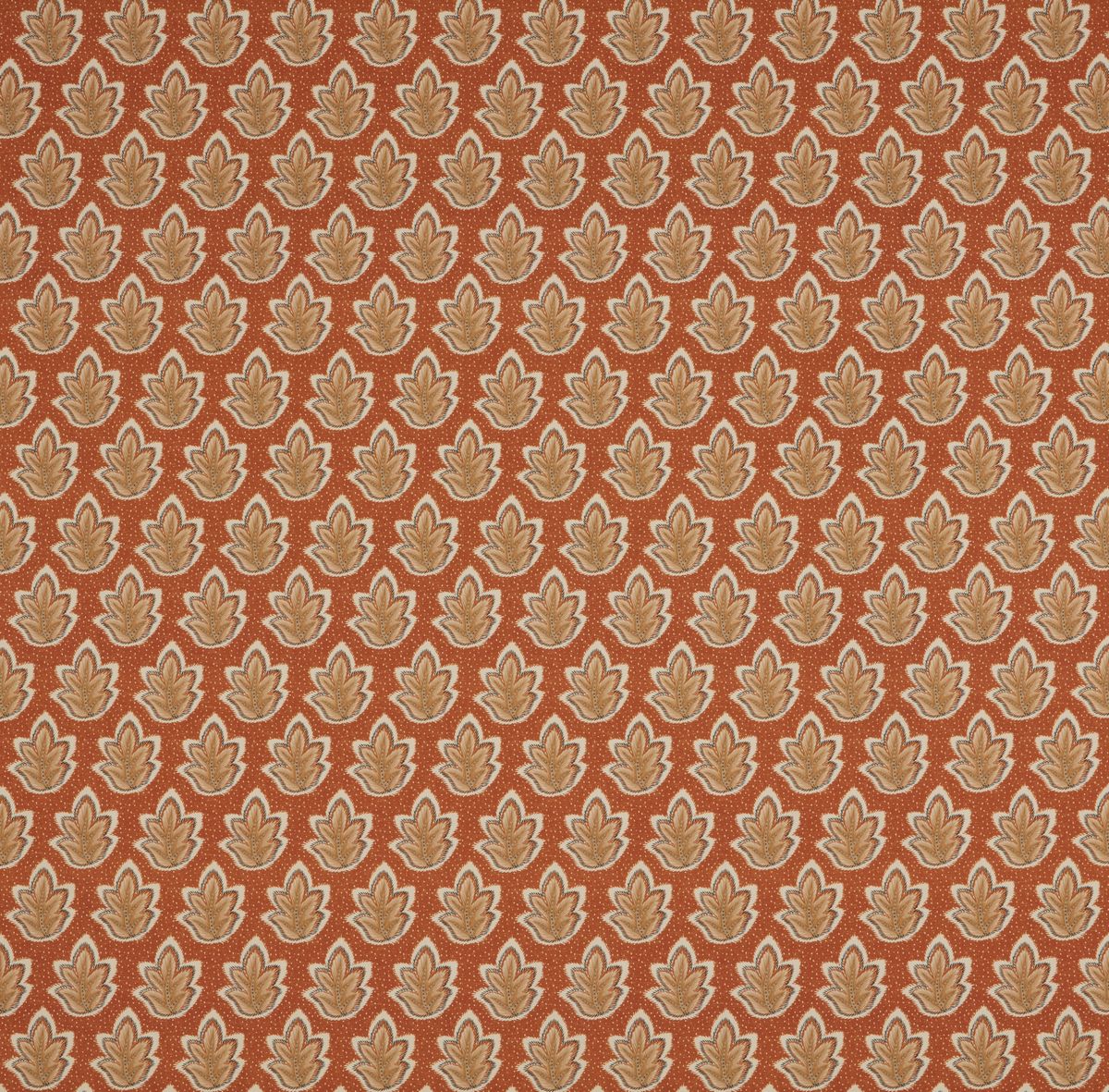 Roshni Papaya Fabric by iLiv