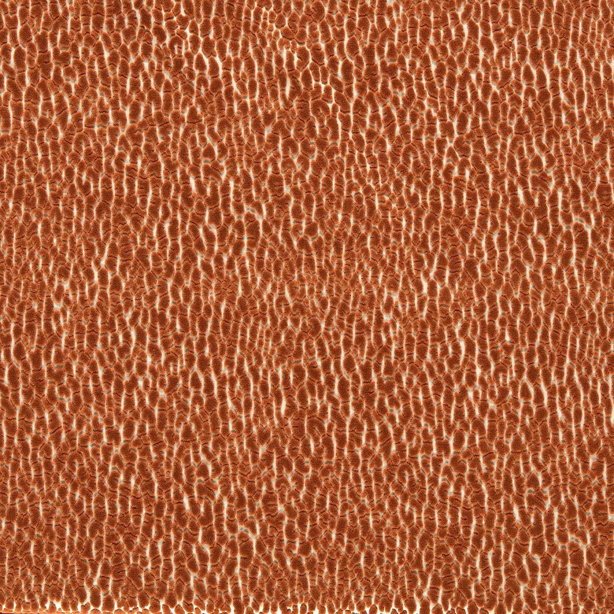 Lacuna Tiger Fabric by Harlequin
