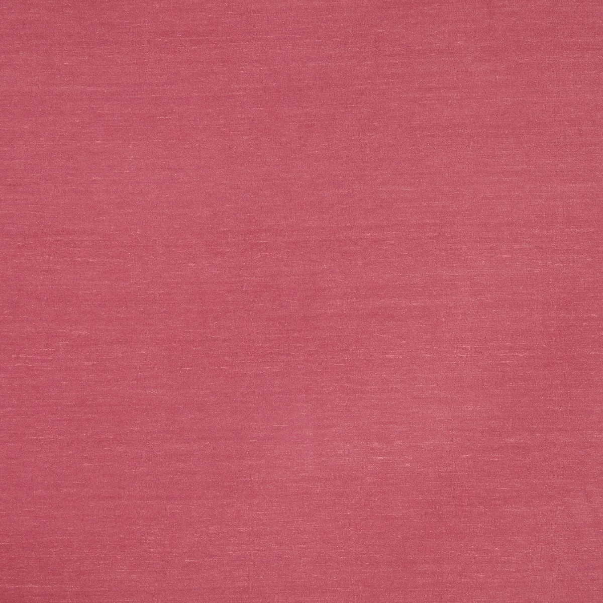Snowdon Rose Fabric by Prestigious Textiles