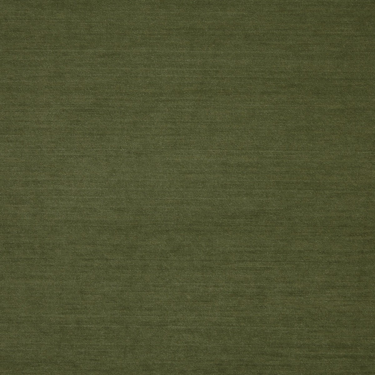 Snowdon Moss Fabric by Prestigious Textiles
