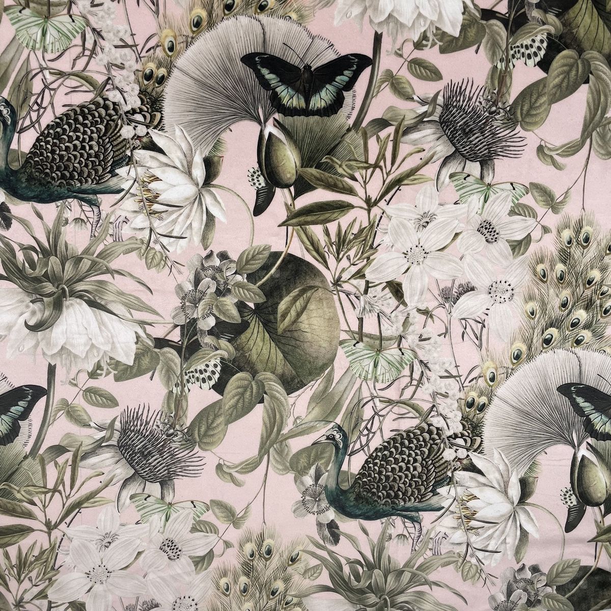 Eden Velvets Tranquility Baby Pink Fabric by Chatham Glyn