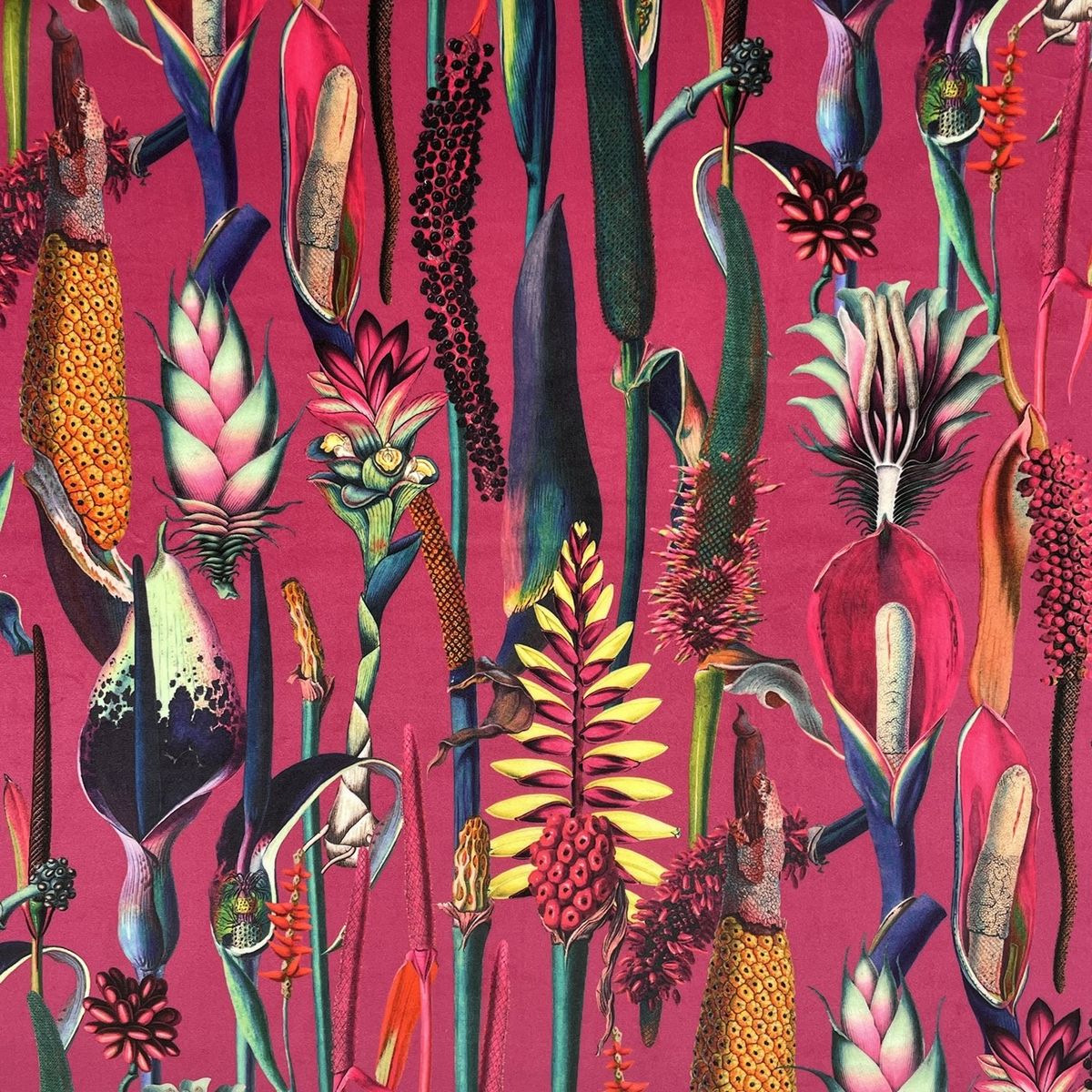 Eden Velvets Tropical Borneo Hot Pink Fabric by Chatham Glyn