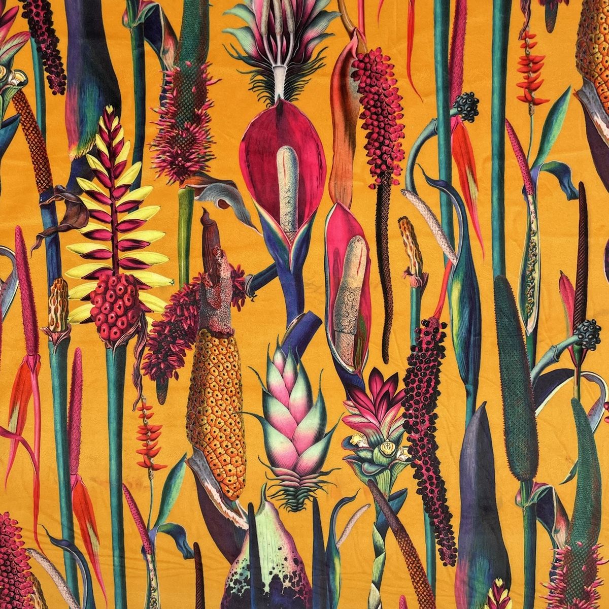 Eden Velvets Tropical Borneo Sunburst Fabric by Chatham Glyn