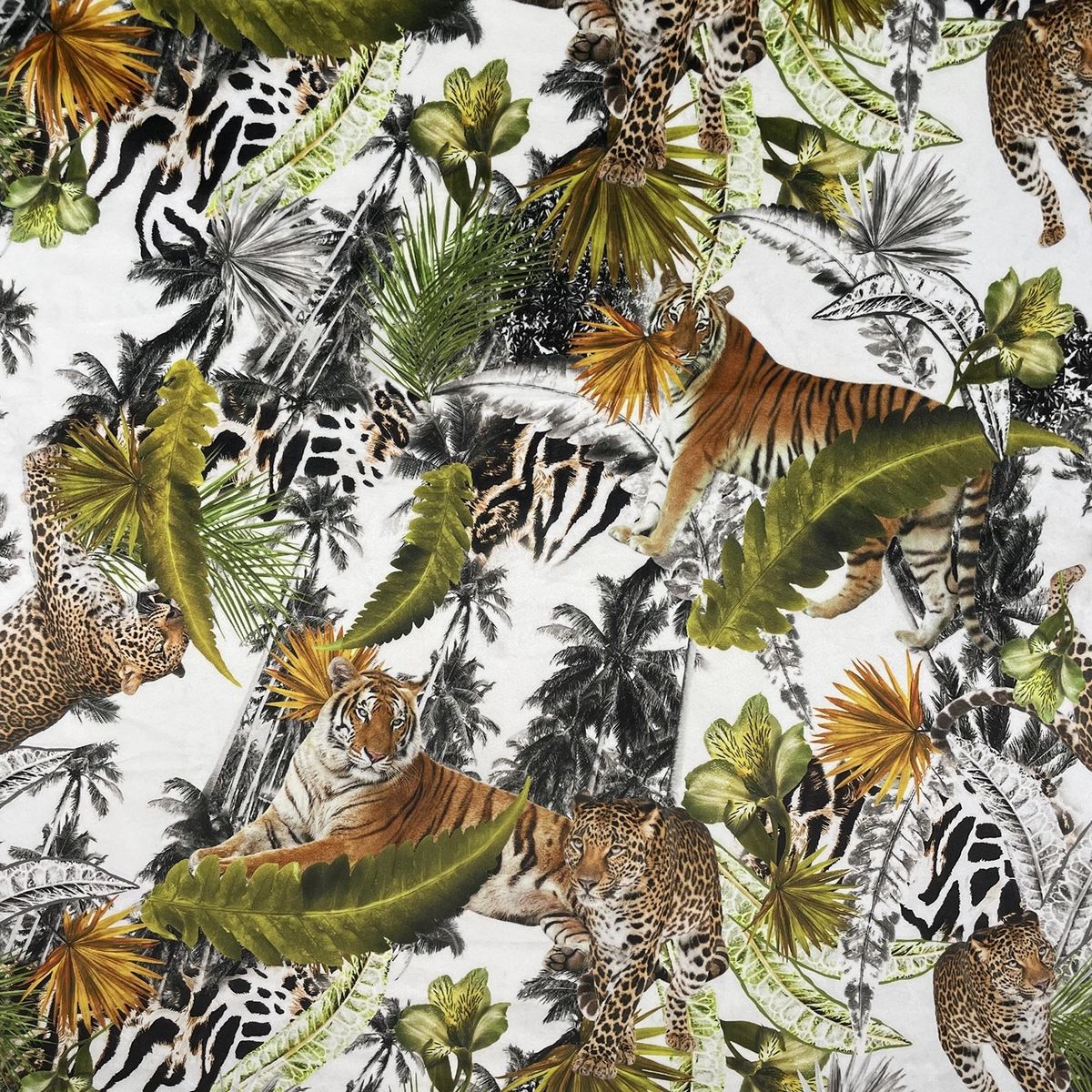 Eden Velvets Tumbatu Fabric by Chatham Glyn
