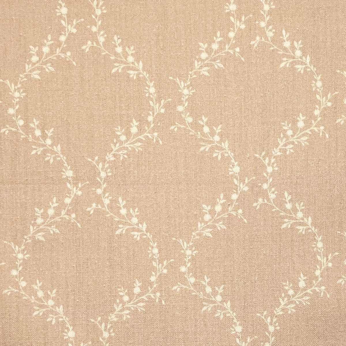 Jasmina Blush Fabric by Chatham Glyn