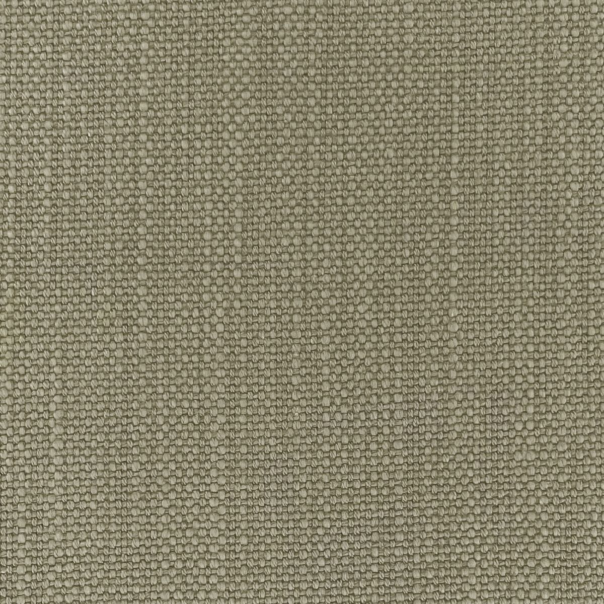 Pimlico Nightgale Grey Fabric by Chatham Glyn