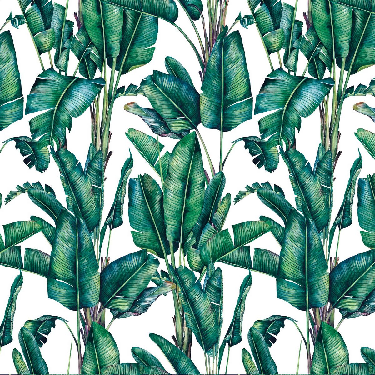 Tropical Valdivian Natural Fabric by Chatham Glyn