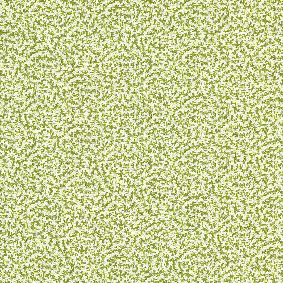 Truffle Olive Fabric by Sanderson