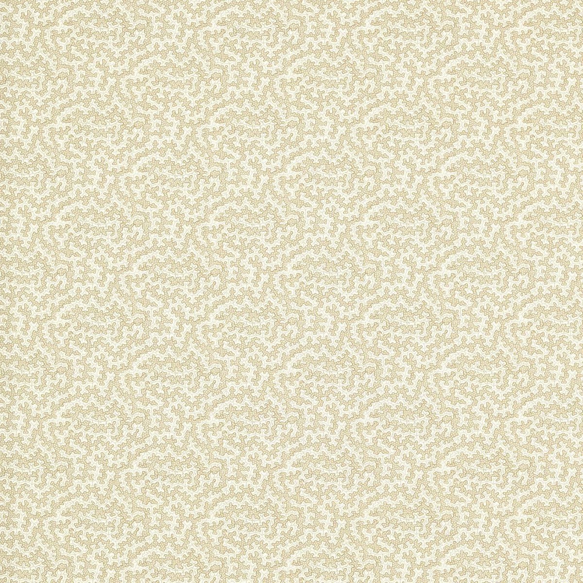Truffle Sand Dollar Fabric by Sanderson
